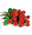 One Dozen Medium Stemmed Roses 