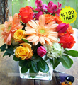 Arrangement of Cut Flowers