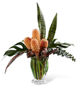 Touch of Tropics Arrangement