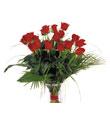 Bouquet of Red Roses, no vase