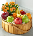 The FTD� Plant and Fruit Basket