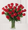 2 Dozen Red Roses with Vase