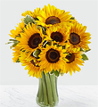 Endless Summer Sunflower Bouquet