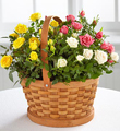 The Better Homes and Gardens� Rose Garden Basket